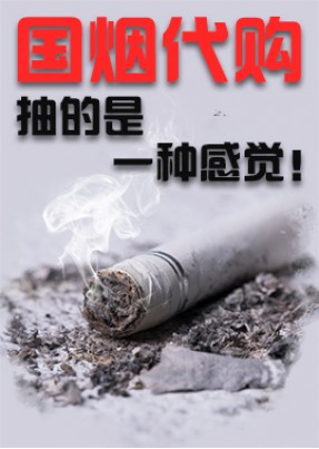 国烟汇