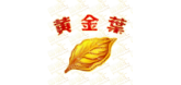 黄金叶