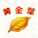 黄金叶Golden Leaf